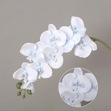 Real touch plants - plants, 3d