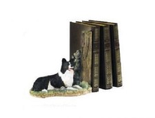 BORDER FINE ARTS COLLIE