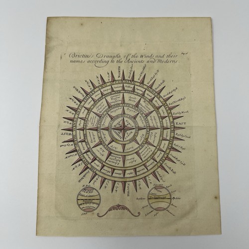 Antique wind rose - wind,
