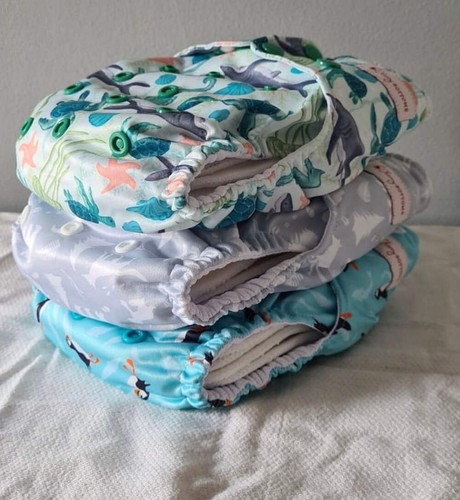 Cherrybottoms pocket nappy - pocket,