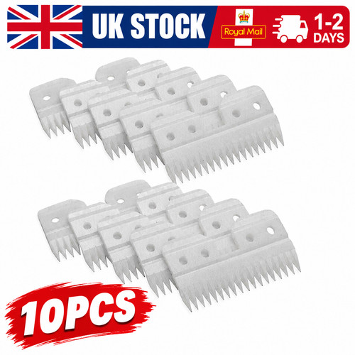 10pcs ceramic teeth pet - ceramic,