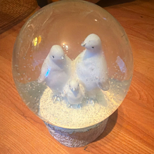Polar bear snow globe - bear,