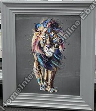 Lion walking with