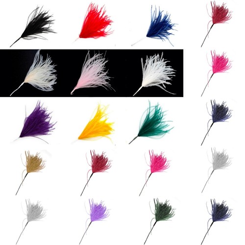 Wisps ostrich feathers on - ostrich,