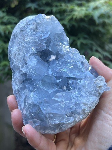 Celestite open cluster geode - celestite,