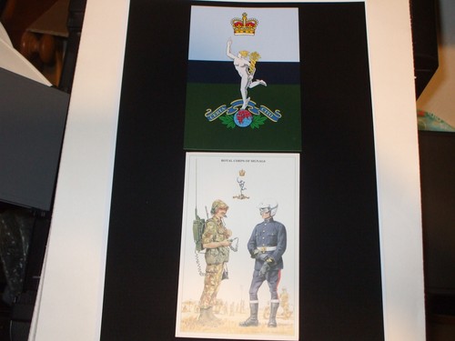 The royal corps signals - the,