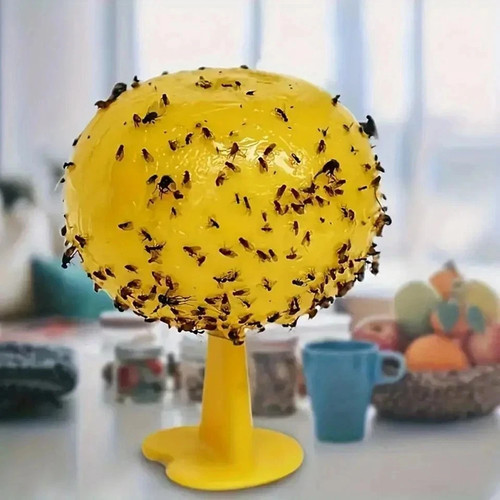 Fruit fly balls ball - balls, trap
