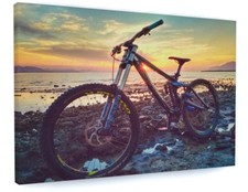 BEACH SEASHORE MOUNTAIN BIKE