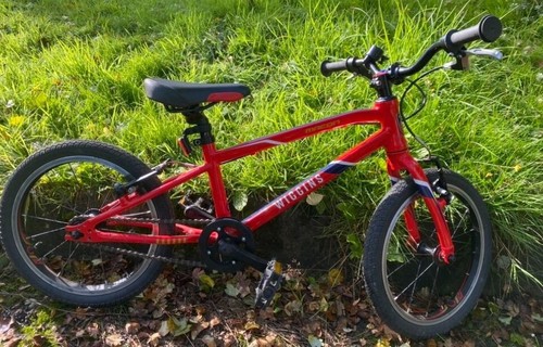 Child wiggins bike inch - child's,
