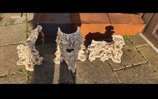 marine aquarium aquaroche  2