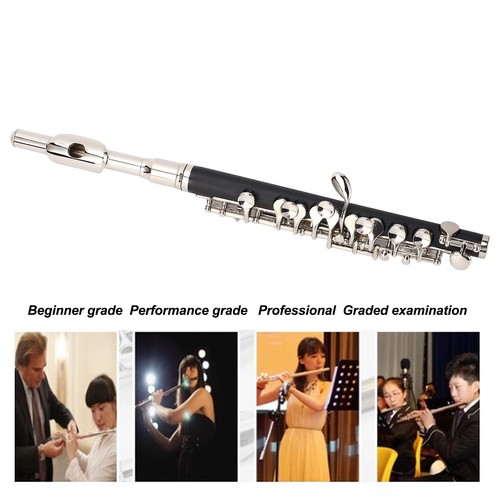 Piccolo flute instrument key - c,