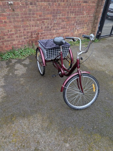 Tricycle adult - tricycle,