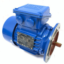 WEG W22 3-Phase 0.55kw Cast