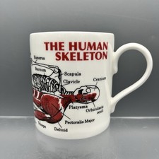 Mug Human Skeleton Muscle