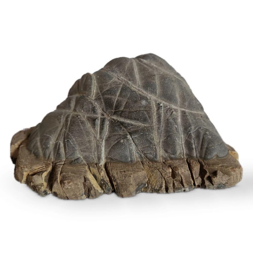 Suiseki natural stone - suiseki,