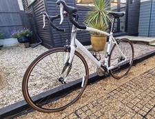 Specialized Secteur sport XL