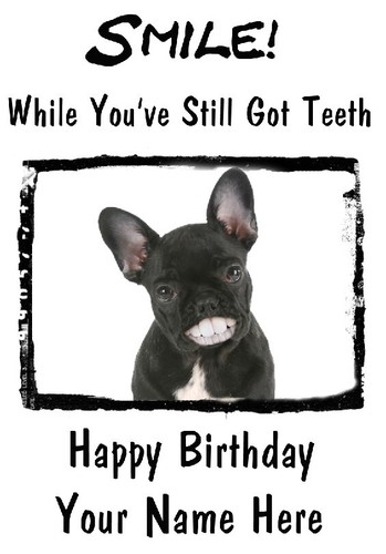 Black french bulldog - black, a5