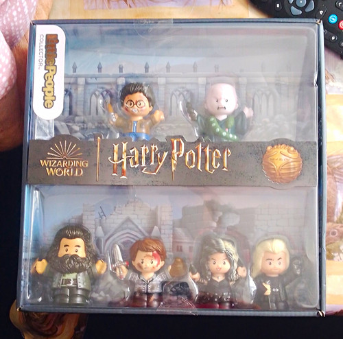 Harry potter wizarding world - harry,