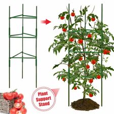 Adjustable Tomato Cage Plant