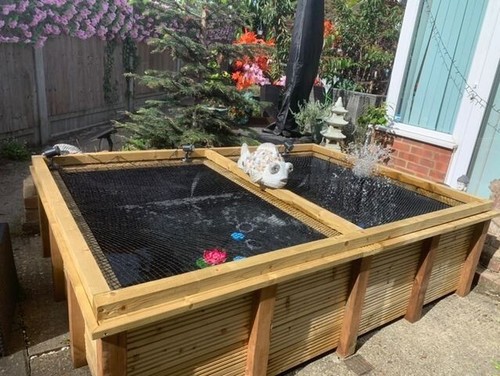 Raised garden fish pond large - pond,