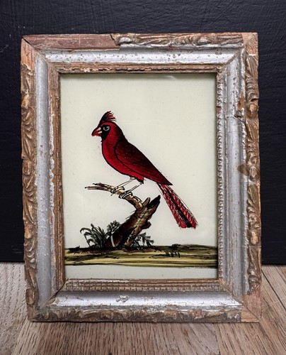 Indian cardinal vintage - indian,