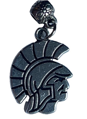 Michigan state university - michigan,