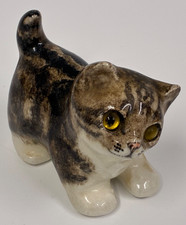 WINSTANLEY CAT TABBY KITTEN