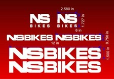 Custom Big NS Bikes Frame