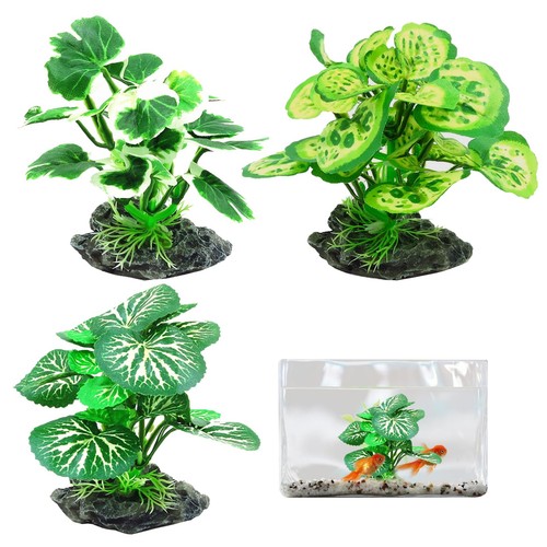 Pcs vivarium plants - pcs,