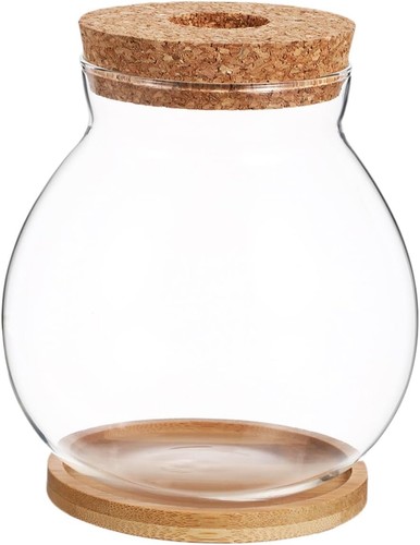 Sosoport hydroponic glass fish - hydroponic,