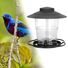 Wild Bird Feeder Hanging Suet