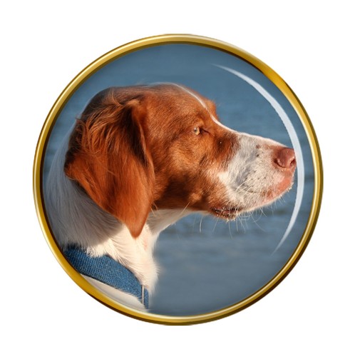 Brittany spaniel dog - brittany, pin