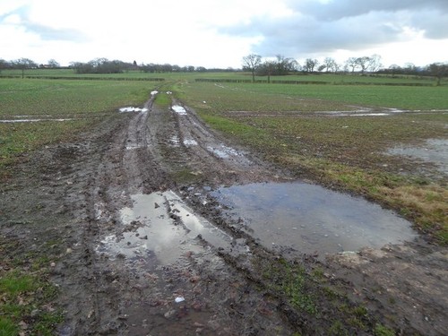 Photo 6x4 arable land - 6x4, at