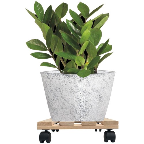 Plant roller square 30cm - 5x,