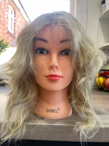 Head for hairdressing training