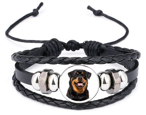 Rottweiler dog black - dog,