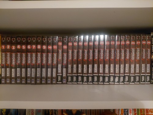 Berserk manga volume - volume, 29