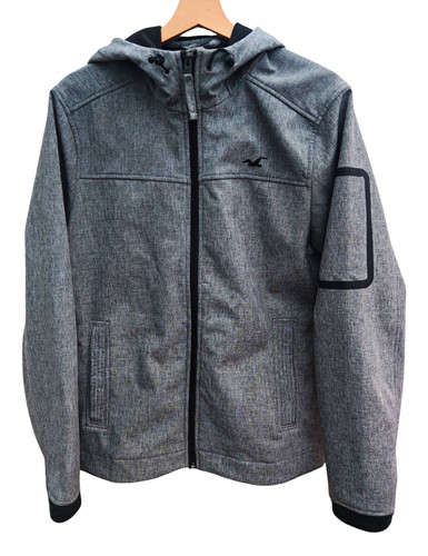 Hollister men grey - hollister,