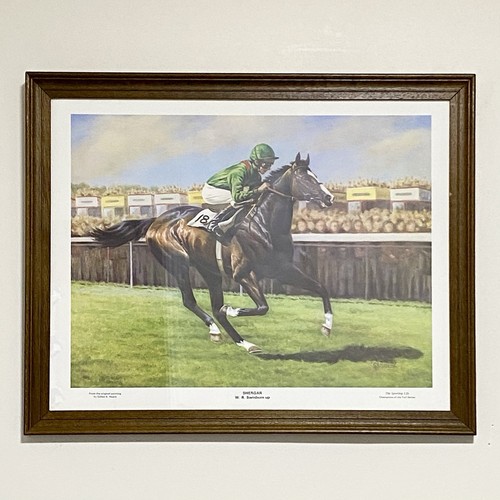 Vintage shergar race horse - race, &