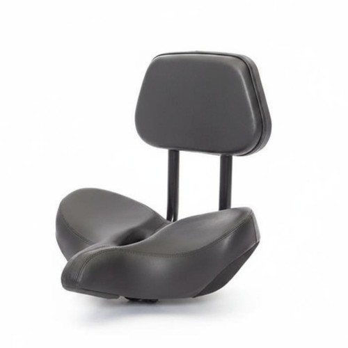 Motorized trike saddle back - trike,