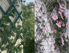 Expanding Garden PVC Plastic