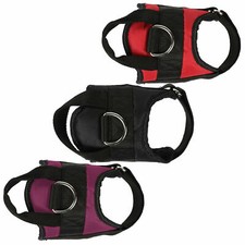 Regatta Reflective Dog Harness