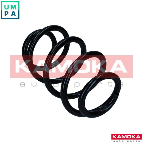 Suspension spring 2110536 - suspension,