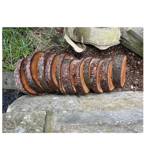 Large rustic log - large,