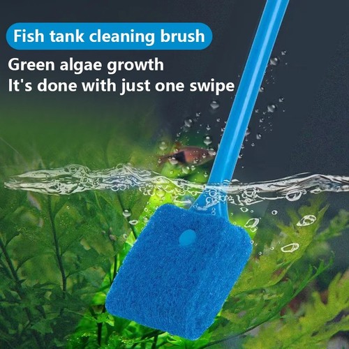 Fish tank cleaning - fish,