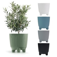 Plant pots indoor outdoor - plant,