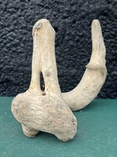 One-off Unique Driftwood Piece