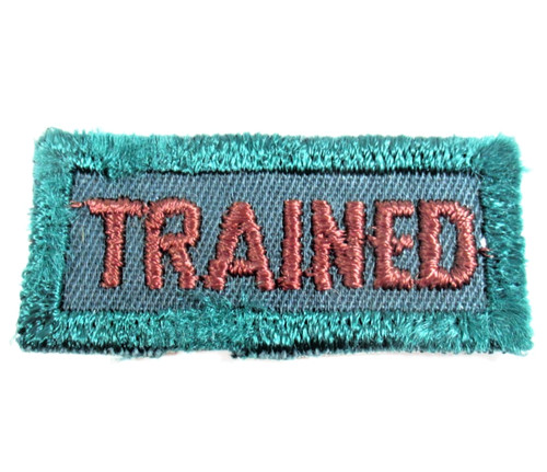 Bsa explorer trained - explorer, patch