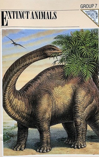 Wildlife-Fact-File-Extinct