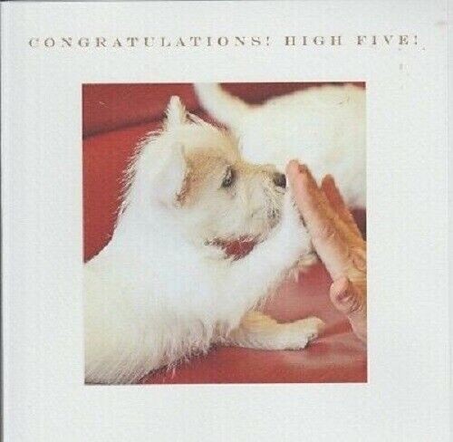 Congratulations high five west - congratulations,